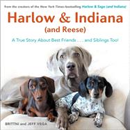 Harlow & Indiana and Reese