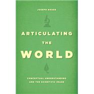 Articulating the World