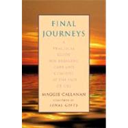 Final Journeys : A Practical Guide for Bringing Care and Comfort at the End of Life