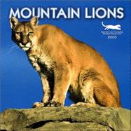 Mountain Lions 2005 Calendar