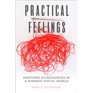 Practical Feelings Emotions as Resources in a Dynamic Social World