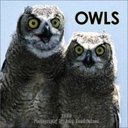 Owls 2005 Calendar