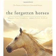 The Forgotten Horses