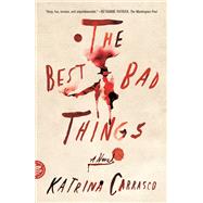 The Best Bad Things book cover, ISBN 9780374123697