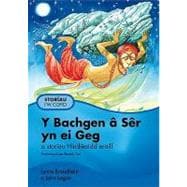 Y Bachgen a Ser Yn Ei Geg: A Storiau Hindwaidd Eraill