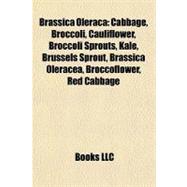 Brassica Olerac : Cabbage, Broccoli, Cauliflower, Broccoli Sprouts, Kale, Brussels Sprout, Brassica Oleracea, Broccoflower, Red Cabbage