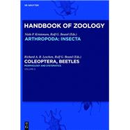 Morphology and Systematics Phytophaga