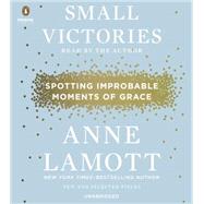 Small Victories Spotting Improbable Moments of Grace