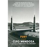 Fury A Novel book cover, ISBN 9781644213711