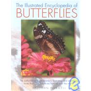 The Illustrated Encyclopedia of Butterflies
