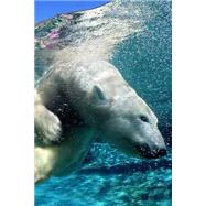 Swimming Polar Bear Journal