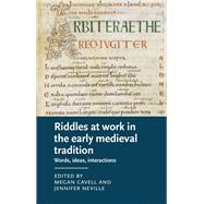 Riddles at work in the early medieval tradition