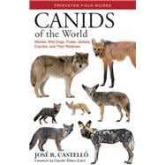 Canids of the World