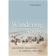 Wandering Souls : Protestant Migrations in America, 1630-1865
