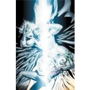 Batman & Robin: Dark Knight Vs. White Knight
