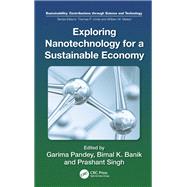 Exploring Nanotechnology for a Sustainable Economy