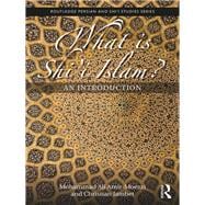 What is Shi'i Islam?: An Introduction