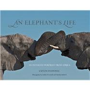 An Elephant's Life An Intimate Portrait from Africa
