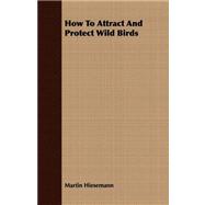 How to Attract and Protect Wild Birds