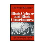 Black Culture and Black Consciousness Afro-American Folk Thought from Slavery to Freedom