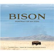 Bison,9781423653752