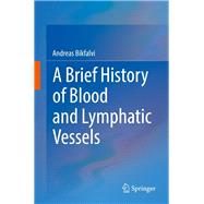 Une Brève Histoire De Vaisseau Sanguin Et Lymphatique