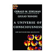 A Universe of Consciousness