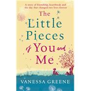 The Little Pieces of You and Me