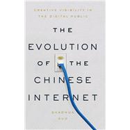 The Evolution of the Chinese Internet