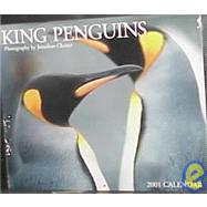 King Penguins 2001 Calendar