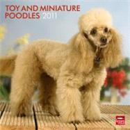 Toy and Miniature Poodles 2011 Calendar