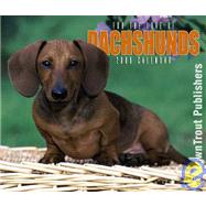 For The Love Of Dachshunds Deluxe 2006 Calendar