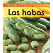 La habas / Beans