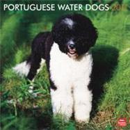 Portuguese Water Dogs 2011 Calendar