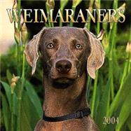 Weimaraners 2004 Calendar