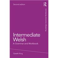 Intermediate Welsh: A Grammar and Workbook