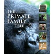 The Primate Family Tree