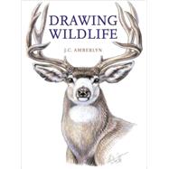 Drawing Wildlife