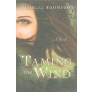 Taming The Wind