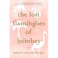 The Lost Flamingoes of Bombay