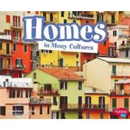 Homes In Many Cultures