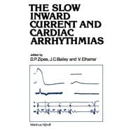 The Slow Inward Current and Cardiac Arrhythmias