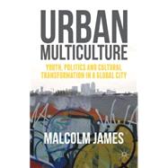 Urban Multiculture Youth, Politics and Cultural Transformation in a Global City