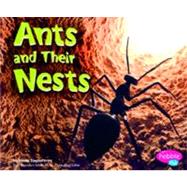 Ants and Their Nests