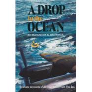A Drop in the Ocean