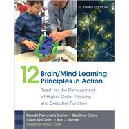 12 Brain/Mind Learning Principles in Action