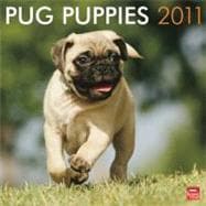 Pug Puppies 2011 Calendar