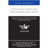 Litigation Strategies for Immigration Issues