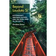 Beyond Laudato Si'