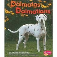 Dalmatas / Dalmatians